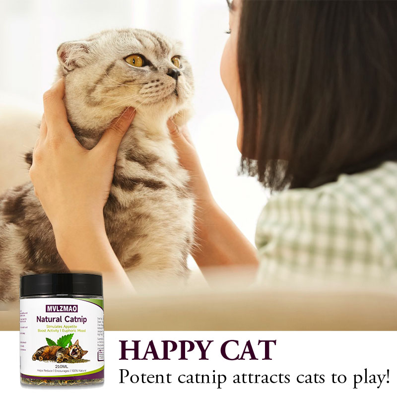 猫のおもちゃ - 猫用マタタビマタタビ、100% 天然マタタ - Nettle Leaf Tea のレビューと価格